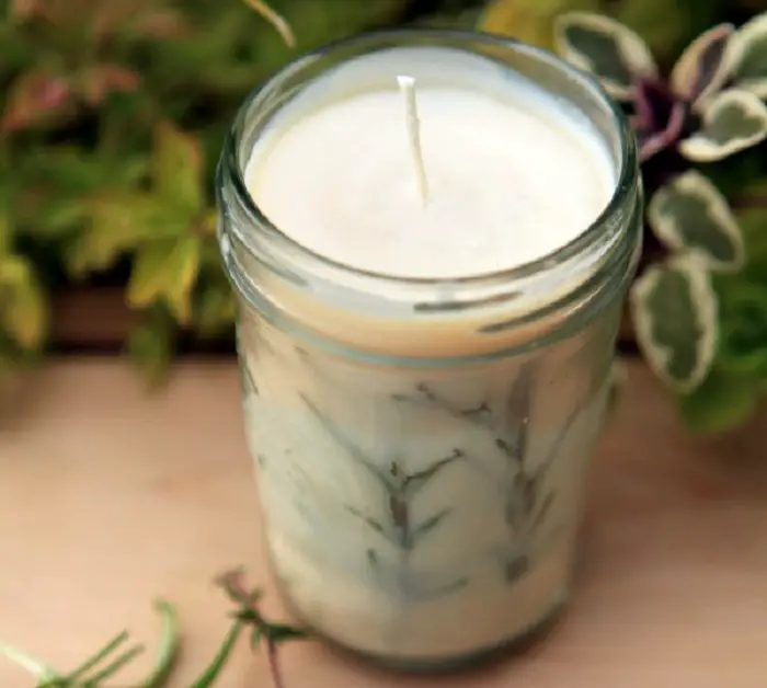 ROSEMARY PRESSED HERB CANDLES