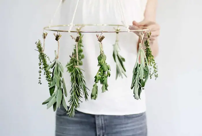 MAKE YOUR OWN HERB DRYING RACK