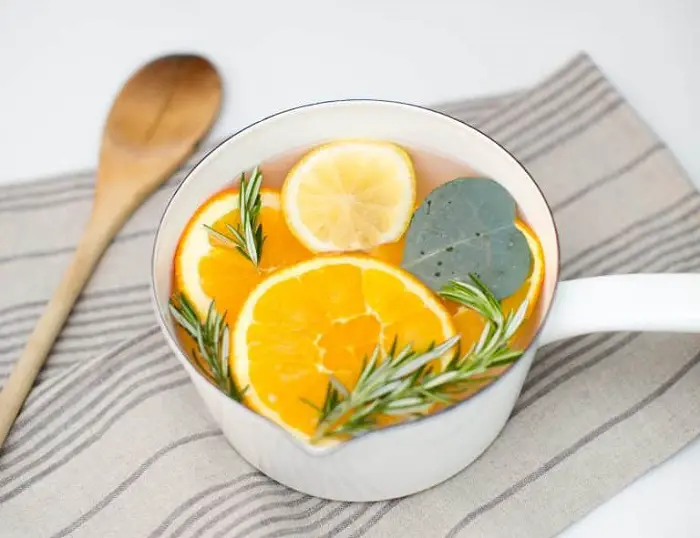 ROSEMARY CITRUS POT SIMMER