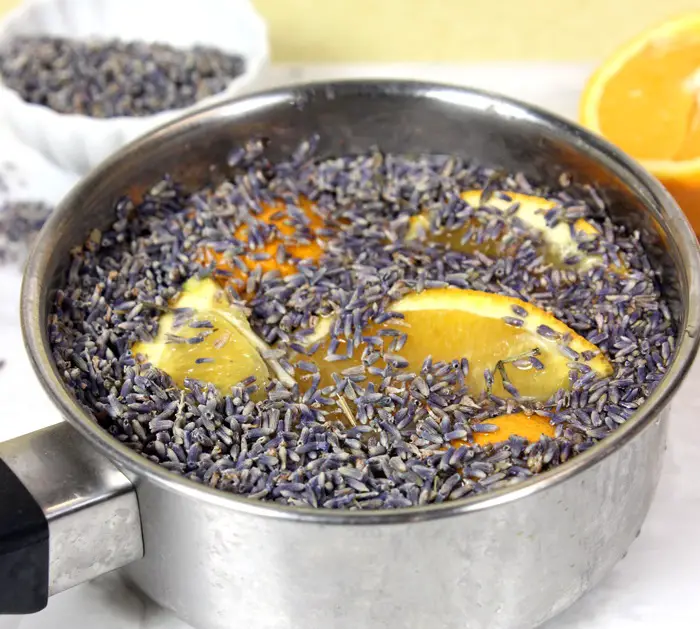 LAVENDER AND ORANGE SIMMERING POTPOURRI