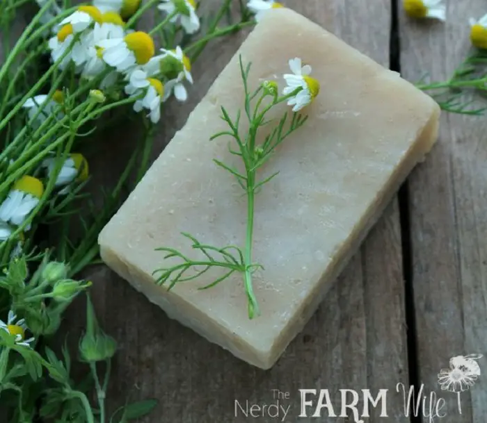 CHAMOMILE TEA AND HONEY SHAMPOO BAR RECIPE