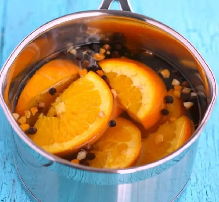 10 Citrus Inspired Simmer Pot Recipes –