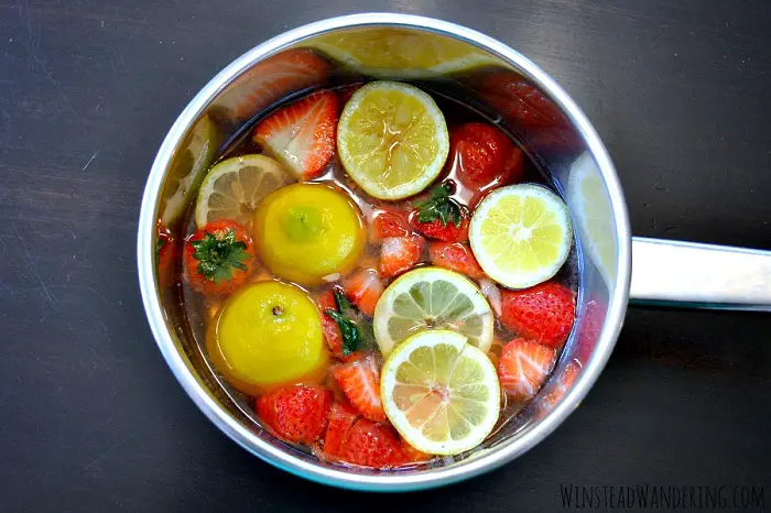 10 Citrus Inspired Simmer Pot Recipes –