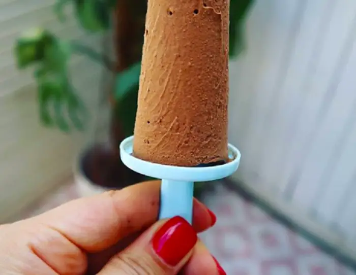 CHOCOLATE AVOCADO ICE LOLLIES