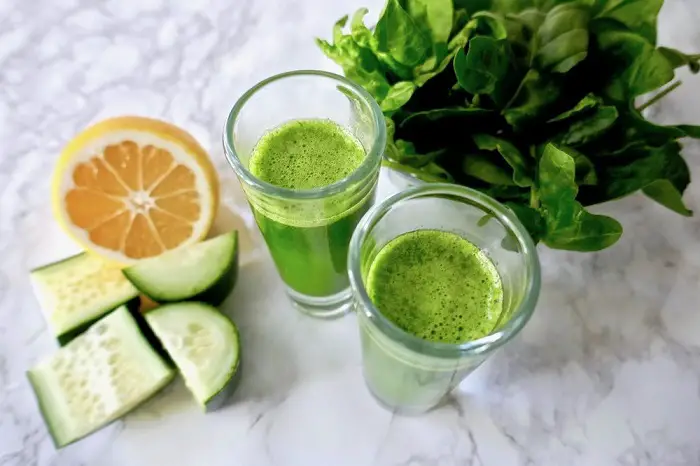 Phyto Fighter Wellness Shot Recipe by Tasty