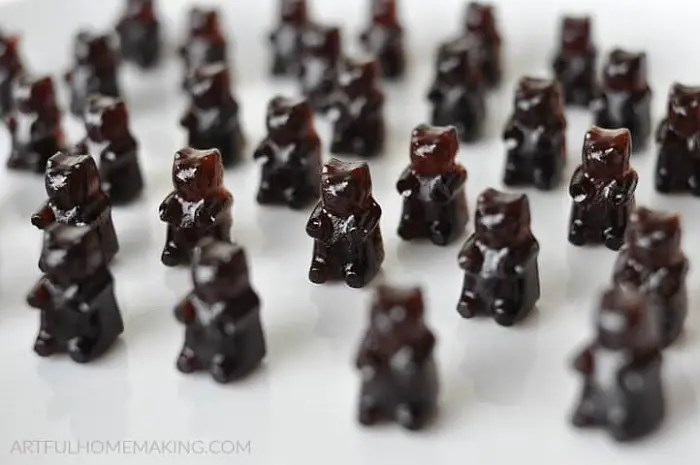 ELDERBERRY SYRUP GUMMIES