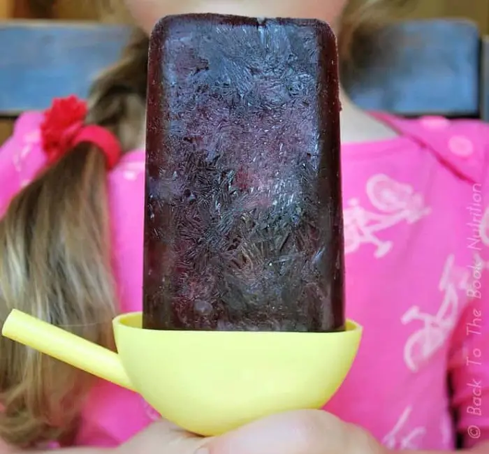 ELDERBERRY JUICE POPS