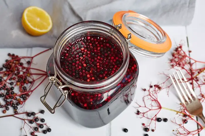 ELDERBERRY GIN