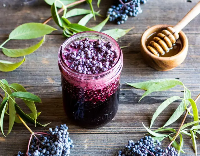 FERMENTED ELDERBERRY HONEY