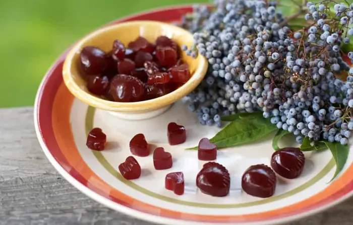 ELDERBERRY GUMMIES