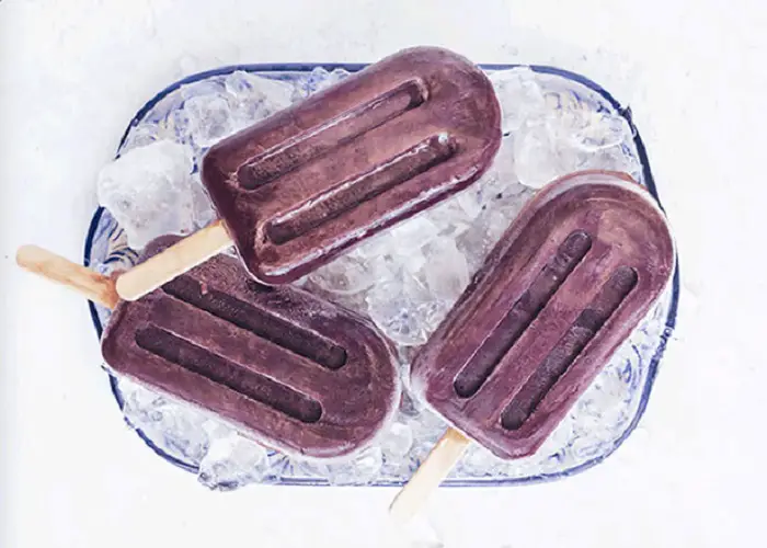 ELDERBERRY POPSICLES