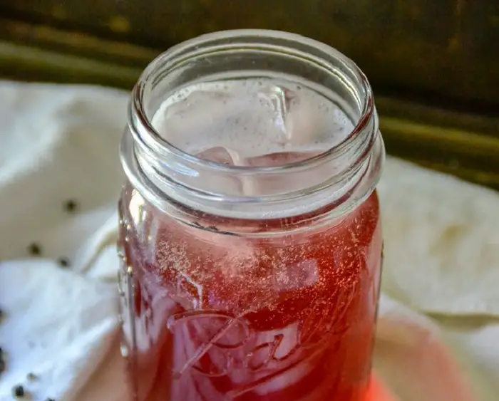 PROBIOTIC ELDERBERRY WATER KEFIR