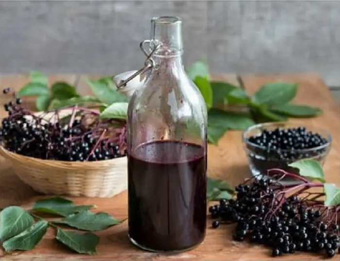 ELDERBERRY KOMBUCHA