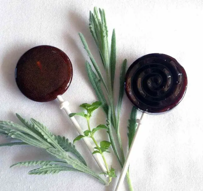 PALEO ELDERBERRY LOLLIPOPS