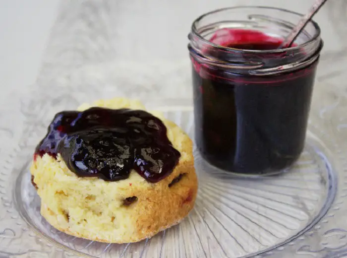 ELDERBERRY AND PORT JELLY