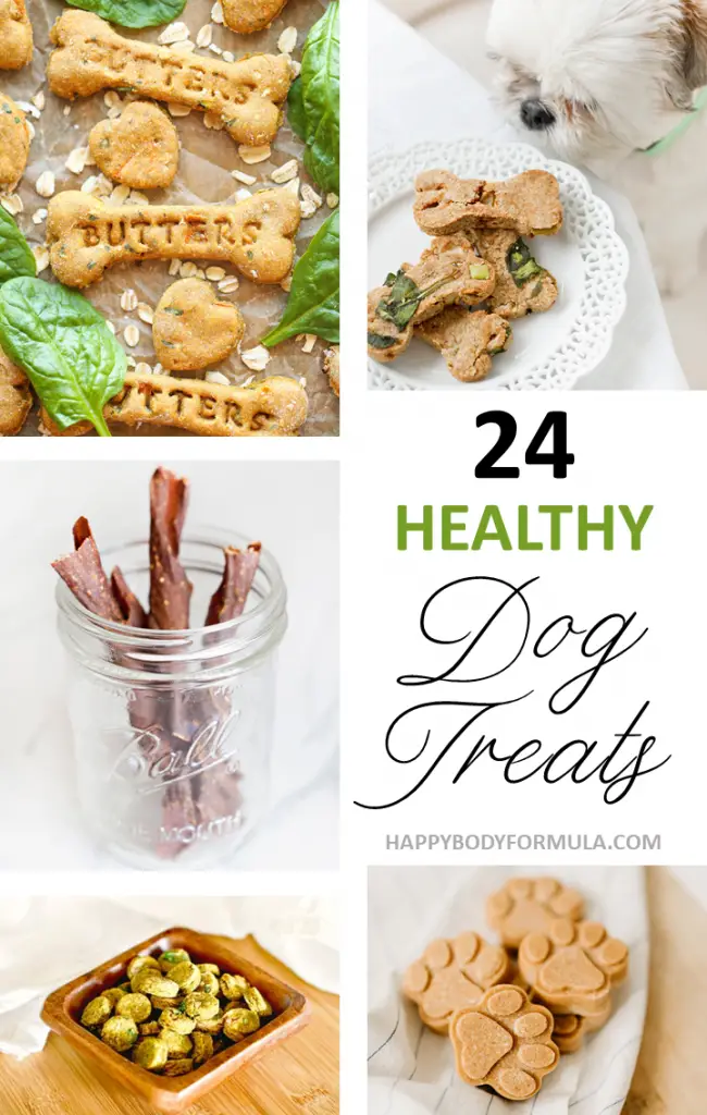 24 Simple Healthy Dog Treat Recipes Your Pooch Will Love | Happybodyformula.com