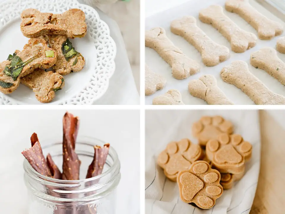 Healthy Dog Treat Recipes