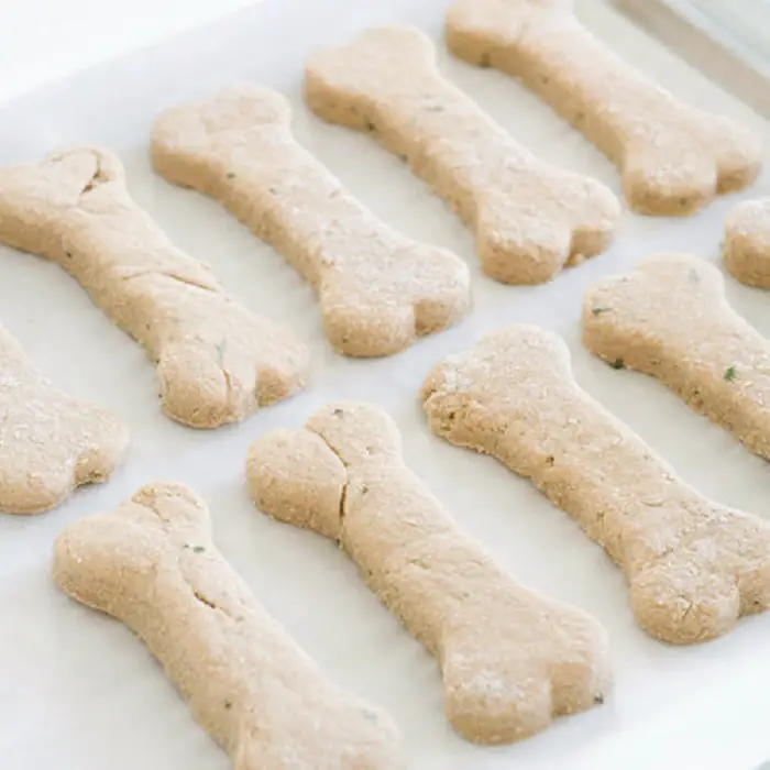 TWO-INGREDIENT HOMEMADE DOG TREATS