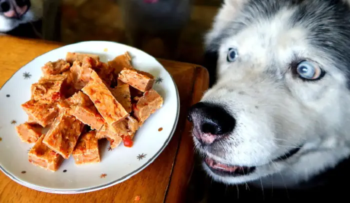 SALMON BRITTLE DOG TREATS