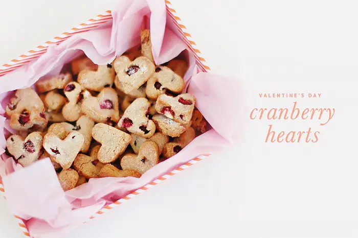 CRANBERRY HEARTS VALENTINE’S DAY DOG TREATS