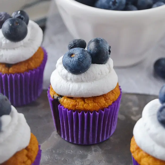 SWEET POTATO BLUEBERRY PUPCAKES