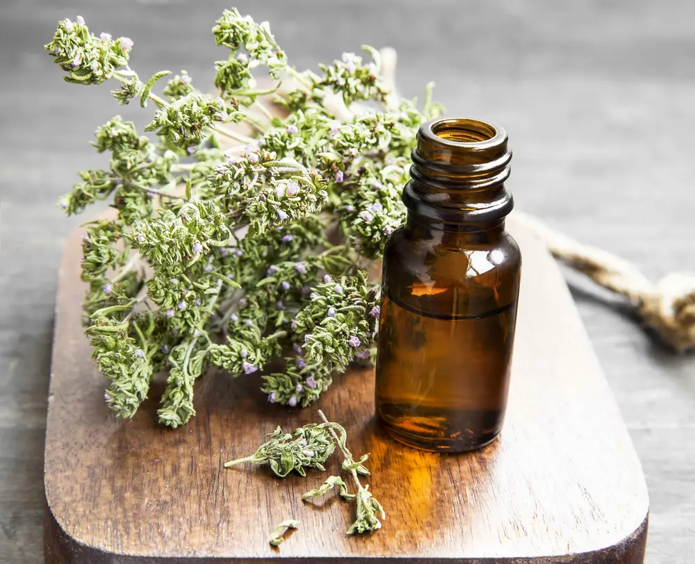 Thyme Essential Oil