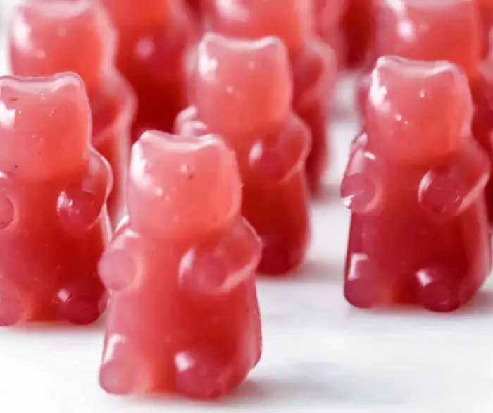 TRIPLE BERRY SUGAR FREE GUMMY BEARS