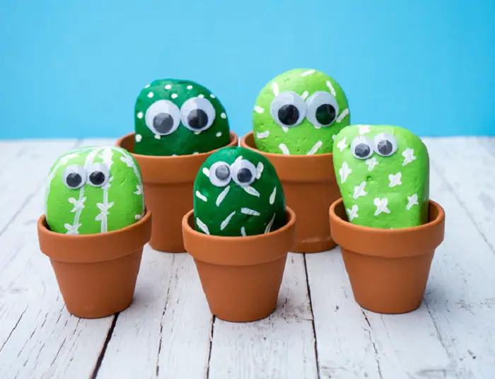 PET CACTUS ROCKS