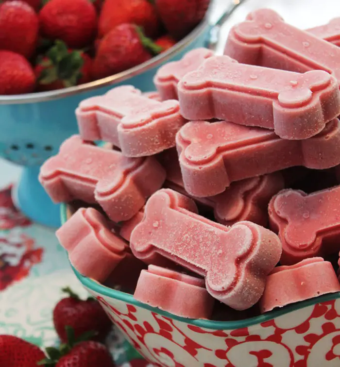 FROZEN STRAWBERRY AND BANANA SMOOTHIE DOG TREATS