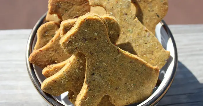 CHICKPEA GRAIN-FREE DOG TREATS