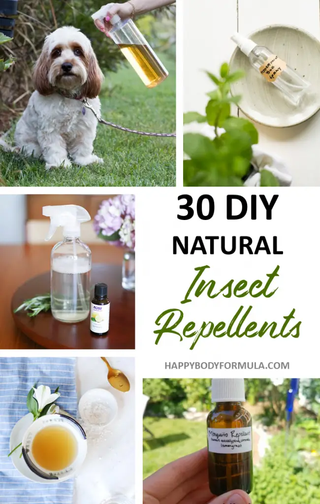 30 DIY Natural Insect Repellents | Happybodyformula.com