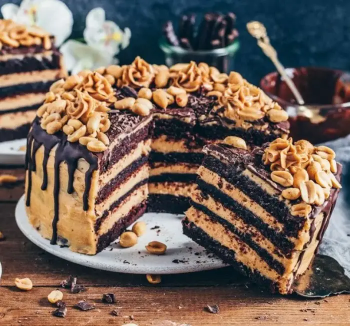 CHOCOLATE PEANUT BUTTER CAKE