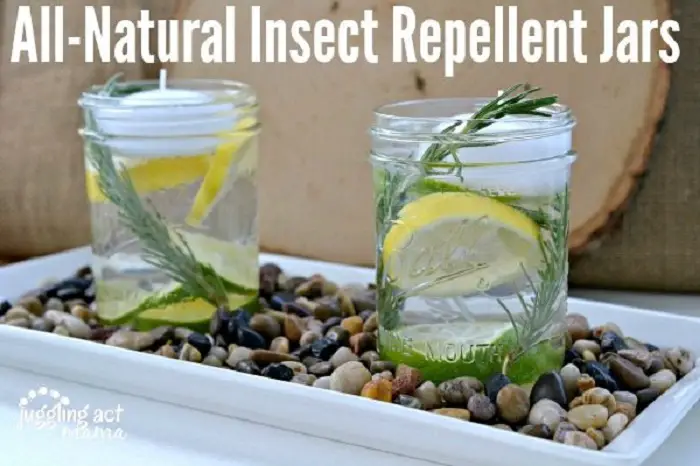 NATURAL INSECT REPELLENT JARS