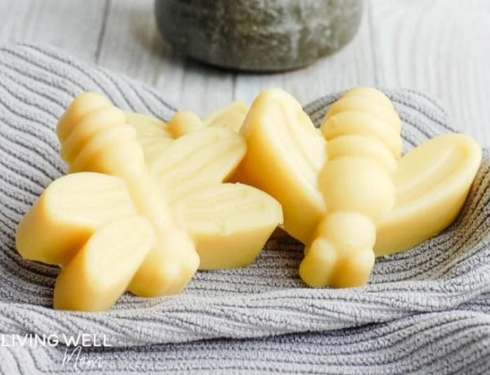 HOMEMADE BUG REPELLENT LOTION BARS