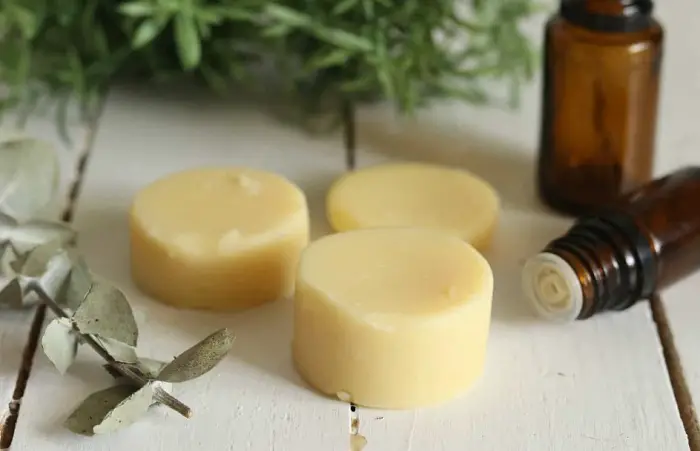 BUG REPELLENT LOTION BARS