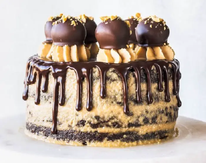 CHOCOLATE PEANUT BUTTER VEGAN CAKE