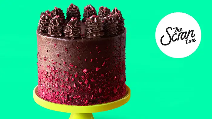 VEGAN CHOCOLATE RASPBERRY CAKE