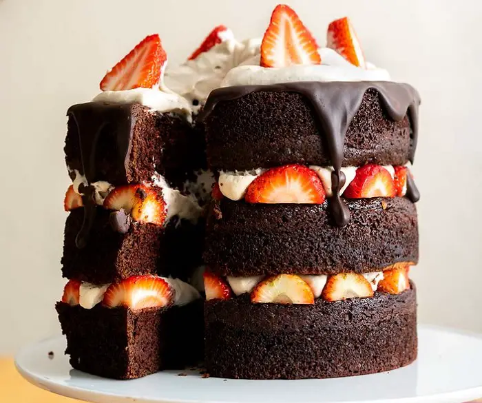 VEGAN CHOCOLATE LAYER CAKE